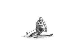 downhill skier s. noble